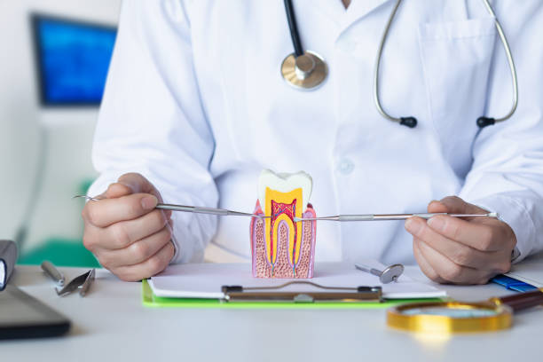 Best Chipped Tooth Repair Near Me  in Burbank, WA
